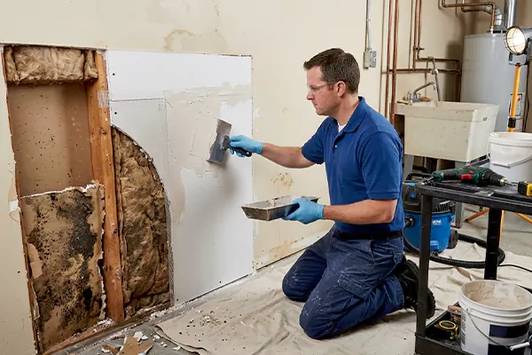 Mold and Drywall Repair Federal Way