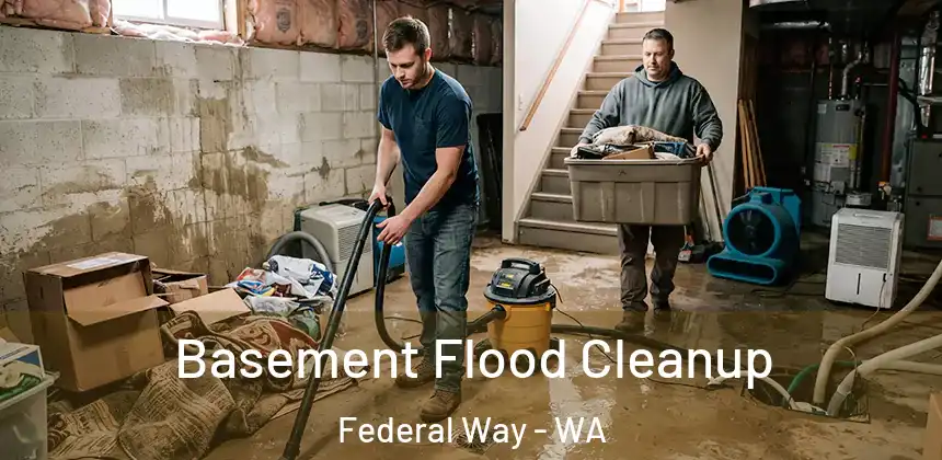  Basement Flood Cleanup Federal Way - WA