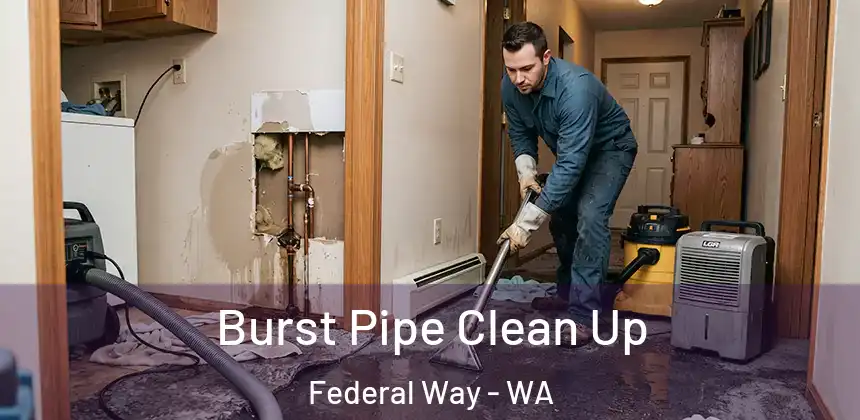  Burst Pipe Clean Up Federal Way - WA