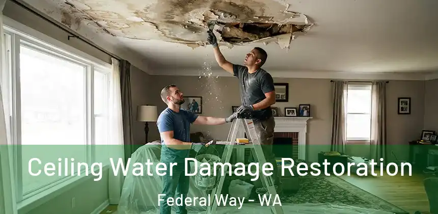  Ceiling Water Damage Restoration Federal Way - WA