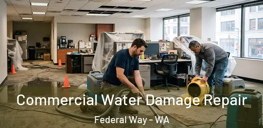  Commercial Water Damage Repair Federal Way - WA