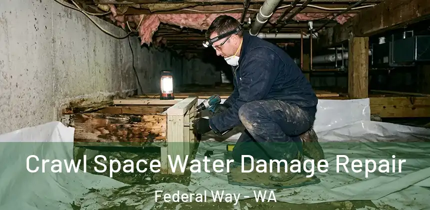  Crawl Space Water Damage Repair Federal Way - WA
