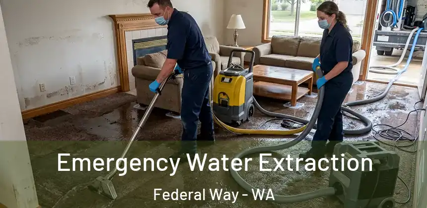  Emergency Water Extraction Federal Way - WA