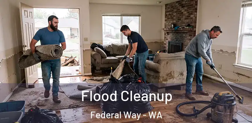  Flood Cleanup Federal Way - WA