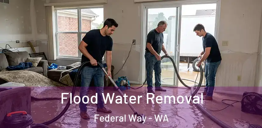  Flood Water Removal Federal Way - WA