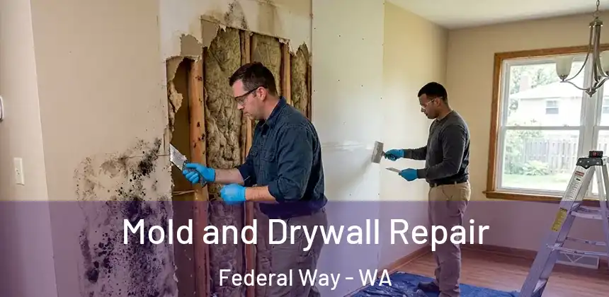  Mold and Drywall Repair Federal Way - WA