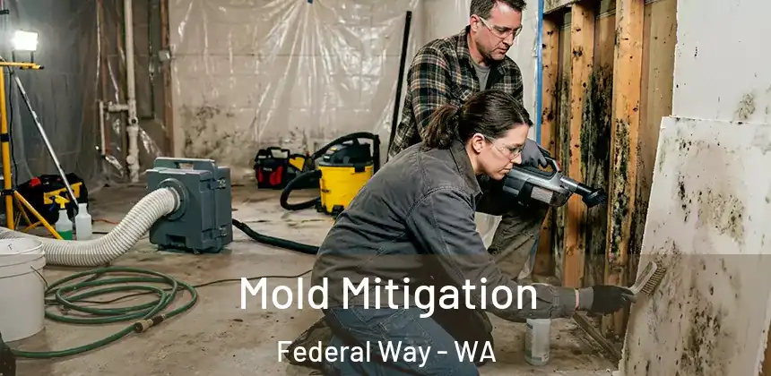  Mold Mitigation Federal Way - WA