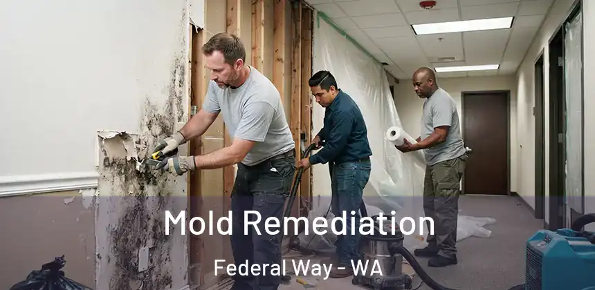  Mold Remediation Federal Way - WA