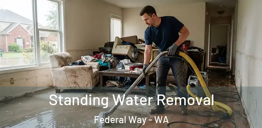  Standing Water Removal Federal Way - WA