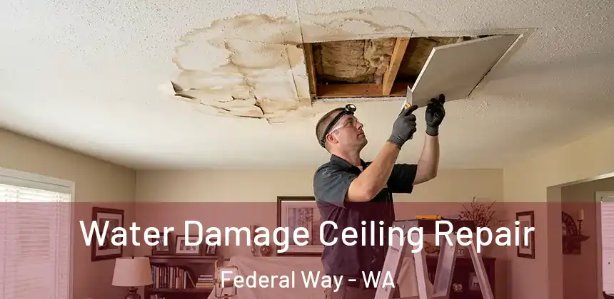  Water Damage Ceiling Repair Federal Way - WA