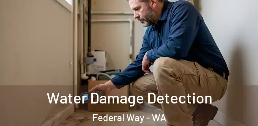  Water Damage Detection Federal Way - WA