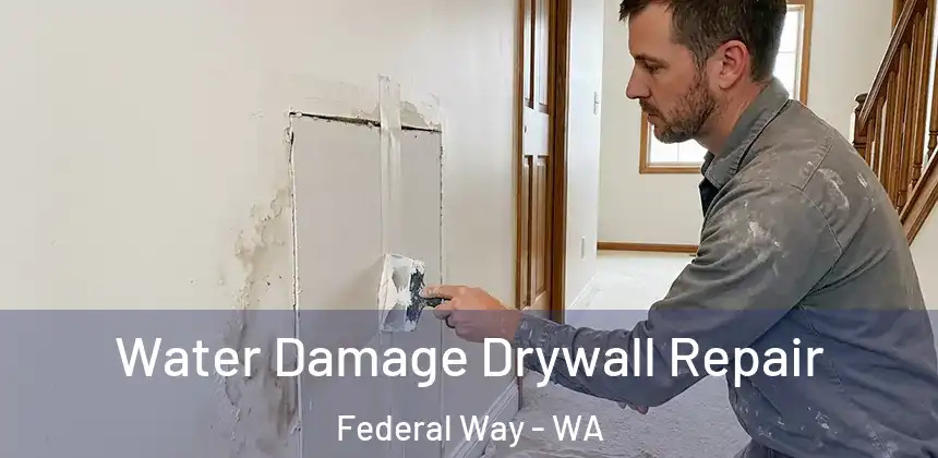  Water Damage Drywall Repair Federal Way - WA