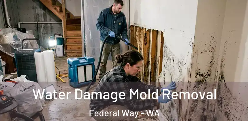  Water Damage Mold Removal Federal Way - WA