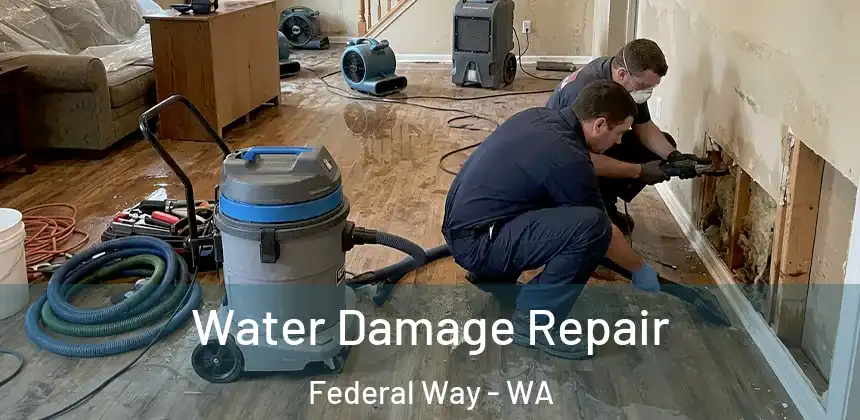  Water Damage Repair Federal Way - WA