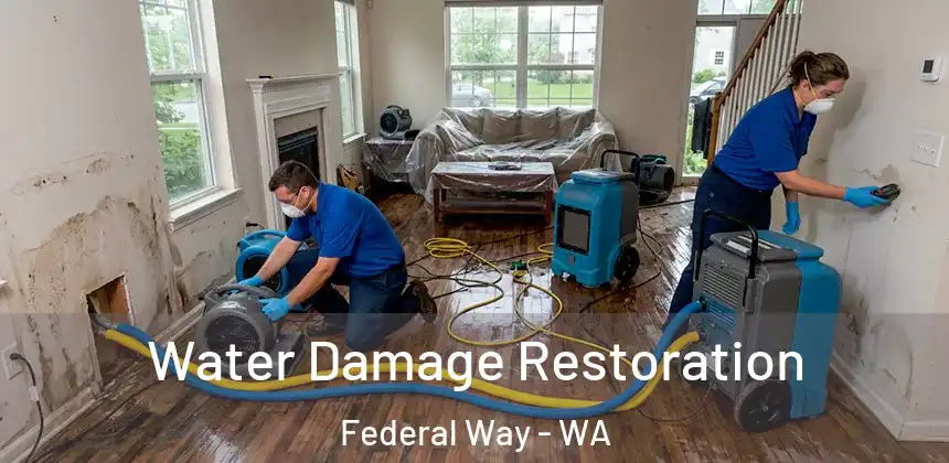  Water Damage Restoration Federal Way - WA