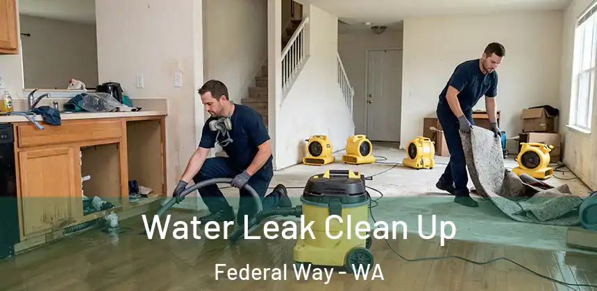  Water Leak Clean Up Federal Way - WA