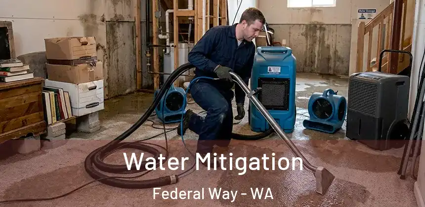  Water Mitigation Federal Way - WA