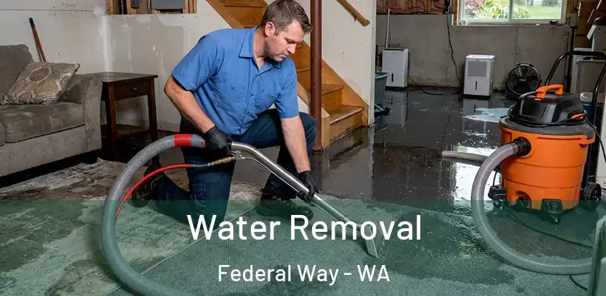  Water Removal Federal Way - WA