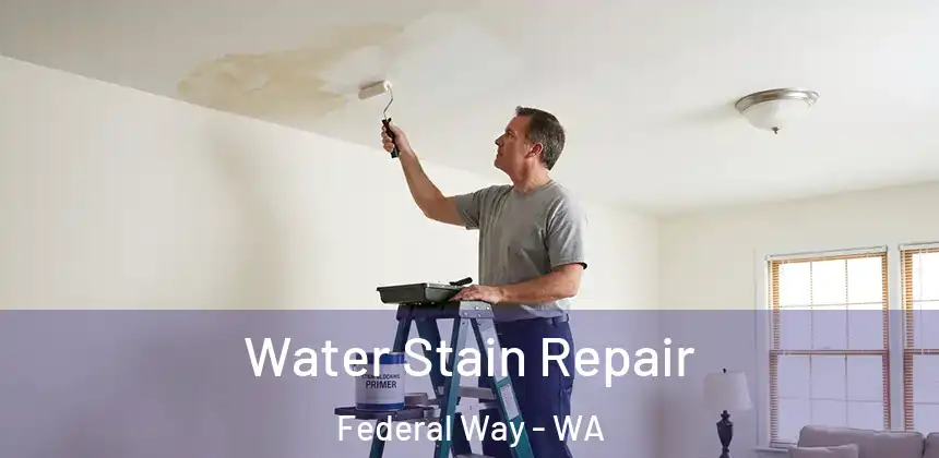  Water Stain Repair Federal Way - WA